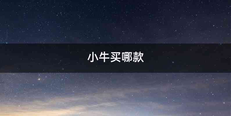 小牛买哪款