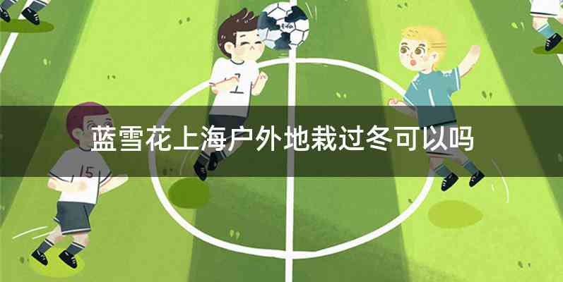 蓝雪花上海户外地栽过冬可以吗