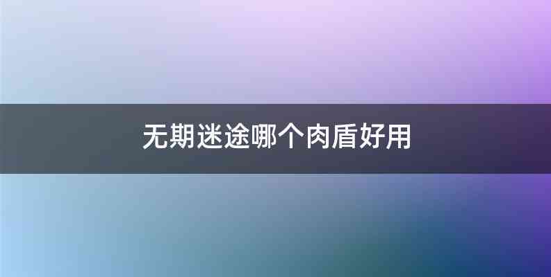 无期迷途哪个肉盾好用
