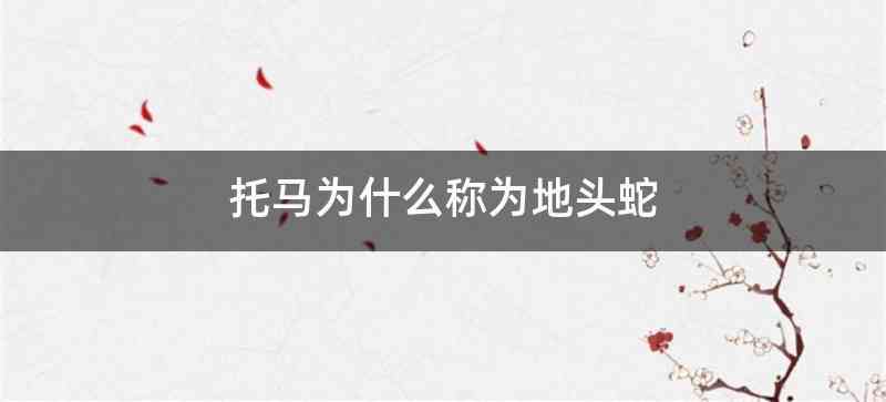 托马为什么称为地头蛇