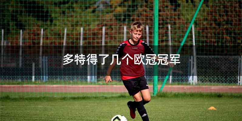 多特得了几个欧冠冠军