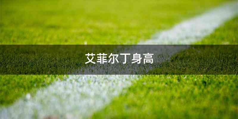 艾菲尔丁身高