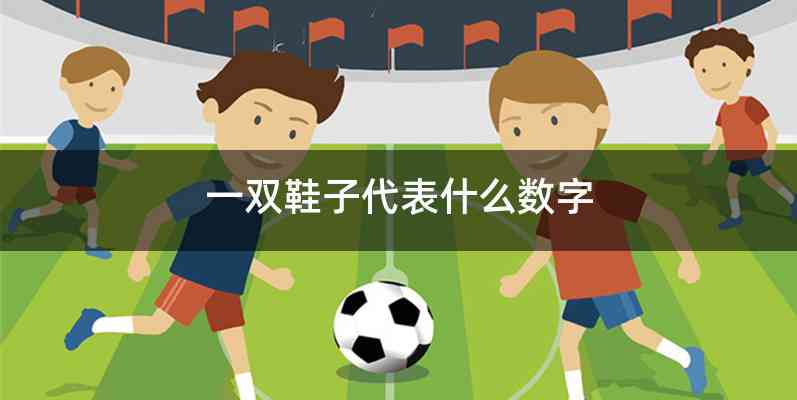 一双鞋子代表什么数字