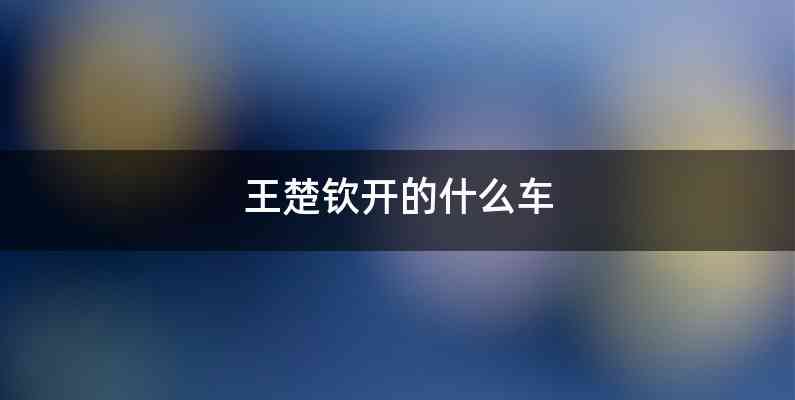 王楚钦开的什么车