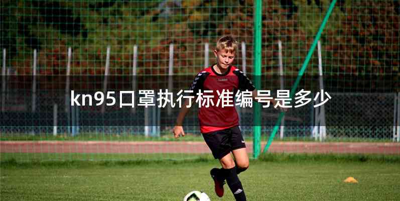kn95口罩执行标准编号是多少