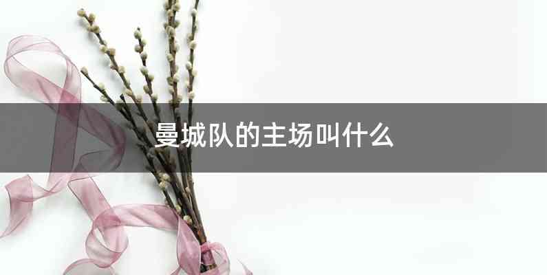 曼城队的主场叫什么