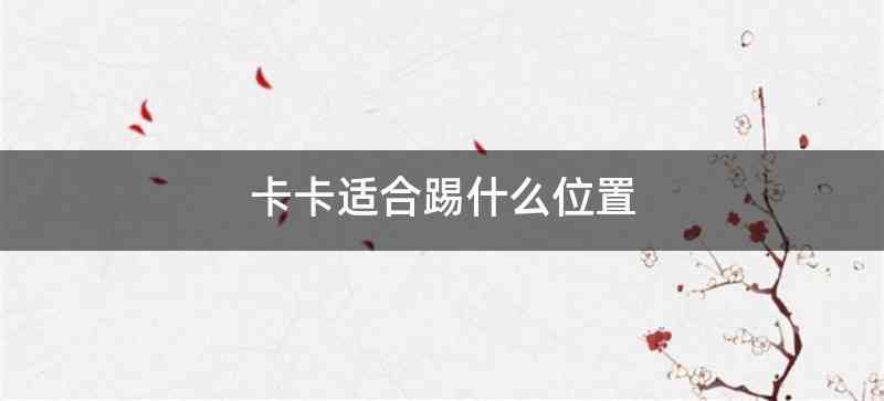 卡卡适合踢什么位置