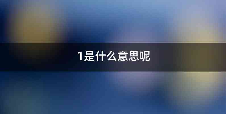 1是什么意思呢