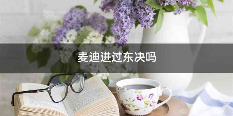 麦迪进过东决吗