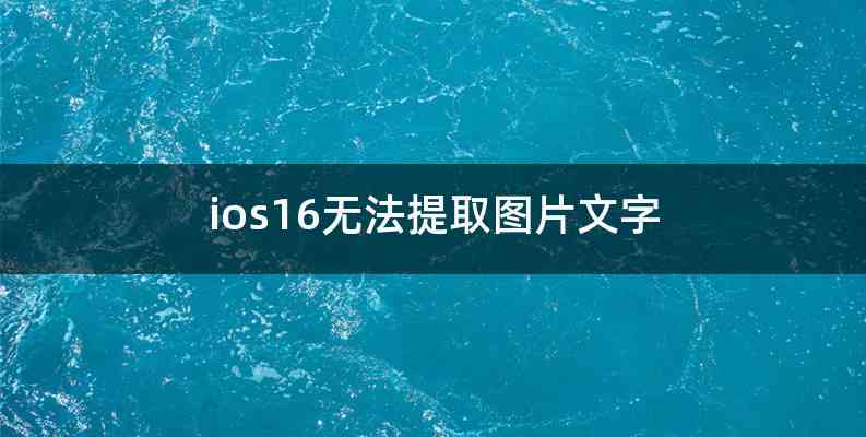ios16无法提取图片文字