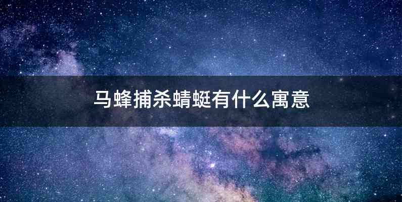 马蜂捕杀蜻蜓有什么寓意