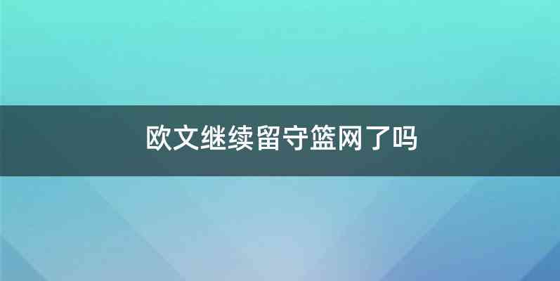 欧文继续留守篮网了吗