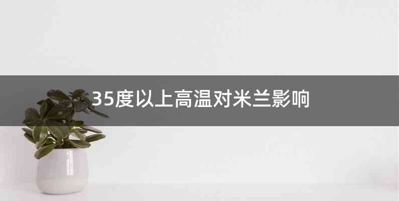 35度以上高温对米兰影响