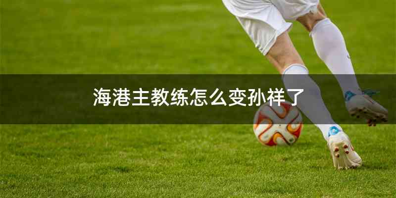海港主教练怎么变孙祥了