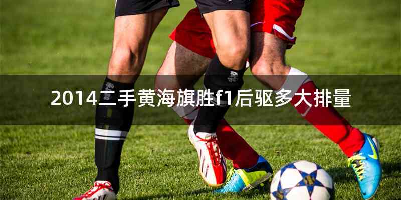 2014二手黄海旗胜f1后驱多大排量