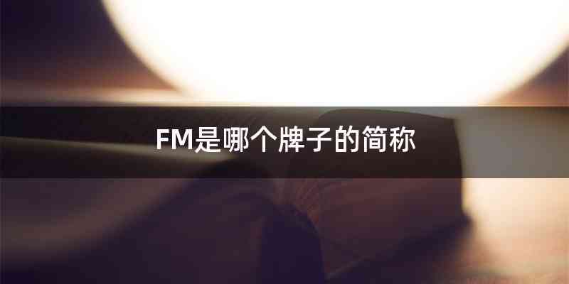 FM是哪个牌子的简称