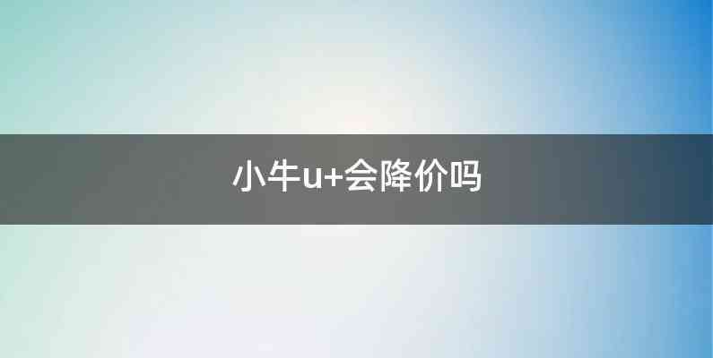 小牛u+会降价吗