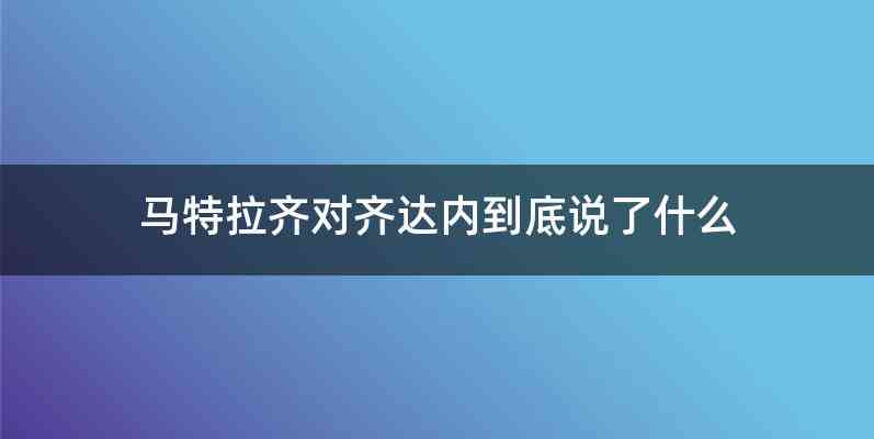 马特拉齐对齐达内到底说了什么