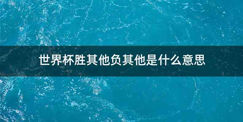 世界杯胜其他负其他是什么意思