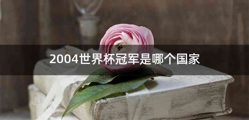2004世界杯冠军是哪个国家