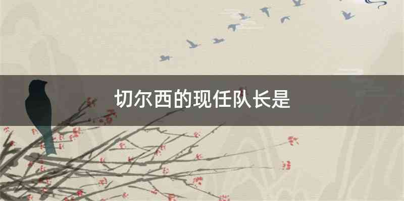 切尔西的现任队长是