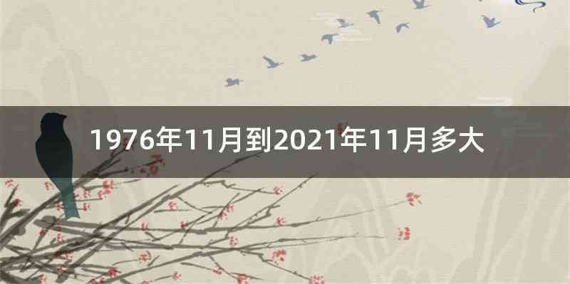 1976年11月到2021年11月多大