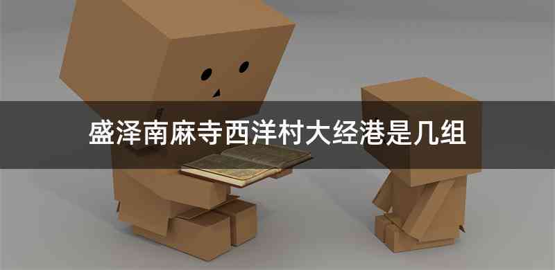 盛泽南麻寺西洋村大经港是几组