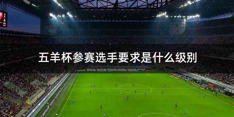 五羊杯参赛选手要求是什么级别