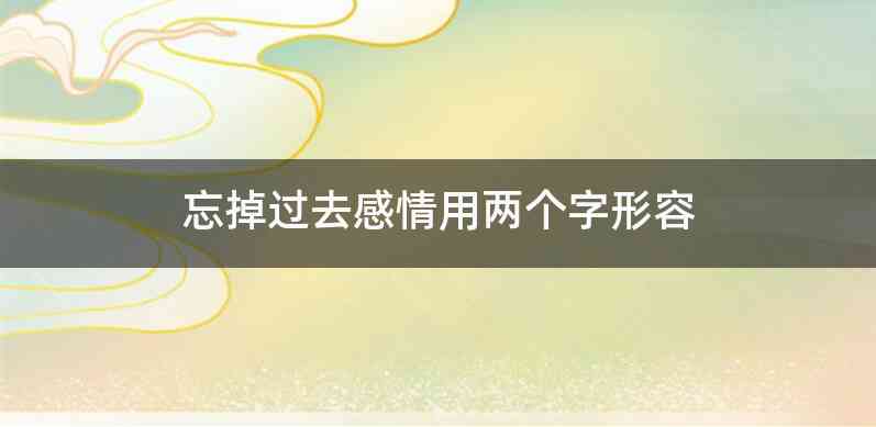 忘掉过去感情用两个字形容