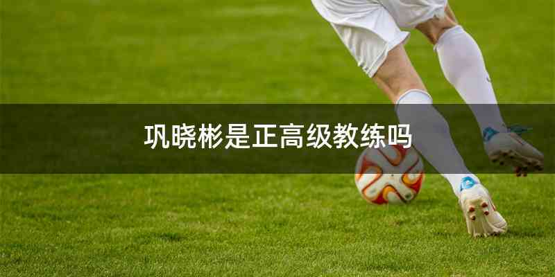 巩晓彬是正高级教练吗