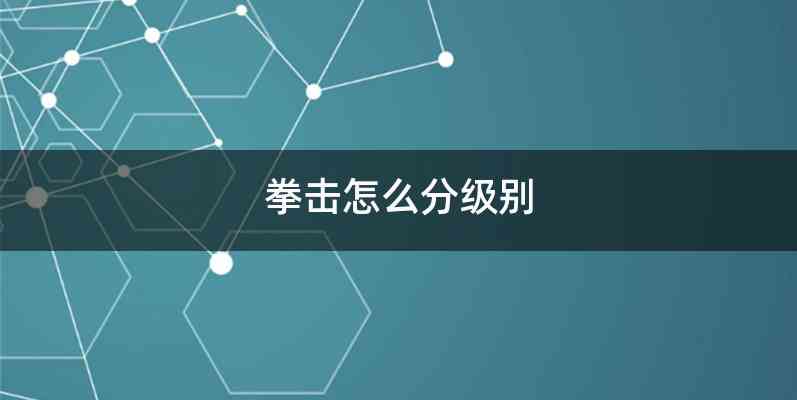 拳击怎么分级别