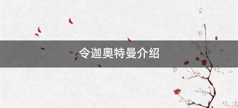 令迦奥特曼介绍