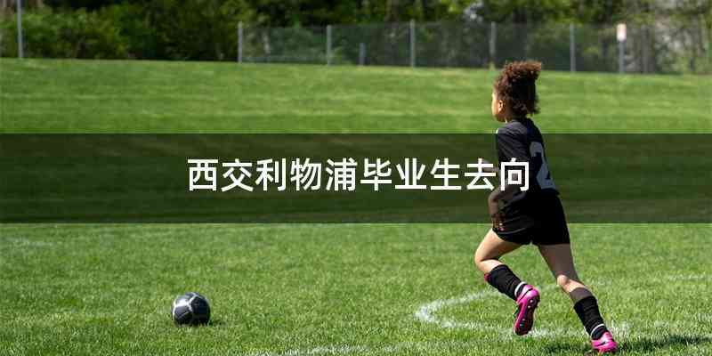 西交利物浦毕业生去向