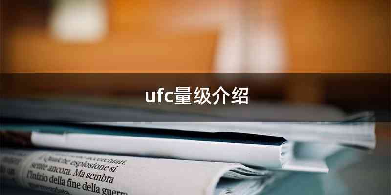 ufc量级介绍