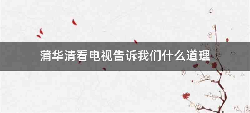 蒲华清看电视告诉我们什么道理