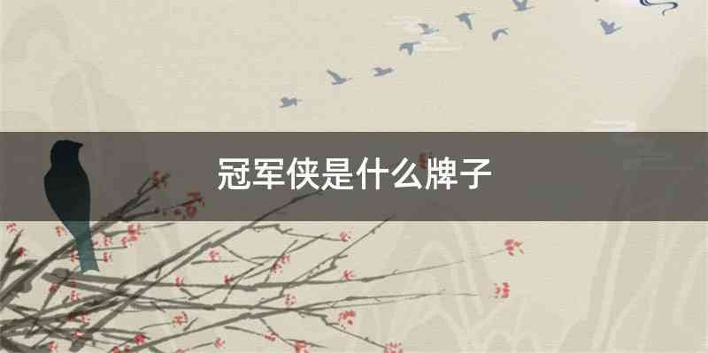 冠军侠是什么牌子