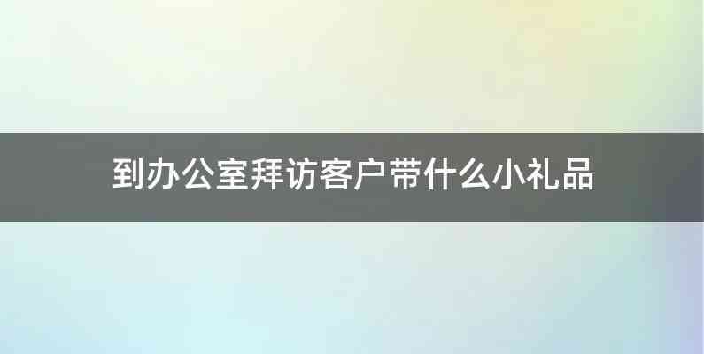 到办公室拜访客户带什么小礼品