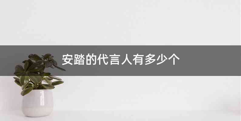 安踏的代言人有多少个