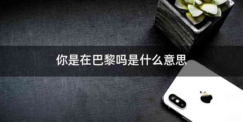 你是在巴黎吗是什么意思