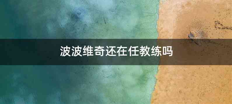 波波维奇还在任教练吗