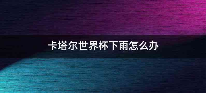 卡塔尔世界杯下雨怎么办