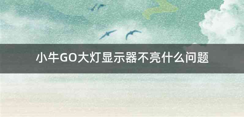 小牛GO大灯显示器不亮什么问题