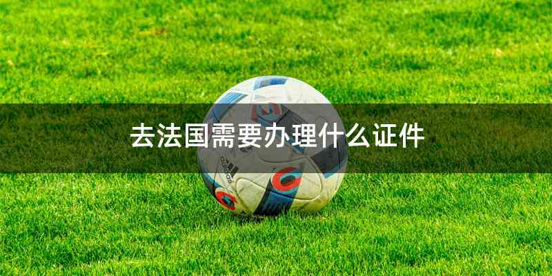去法国需要办理什么证件