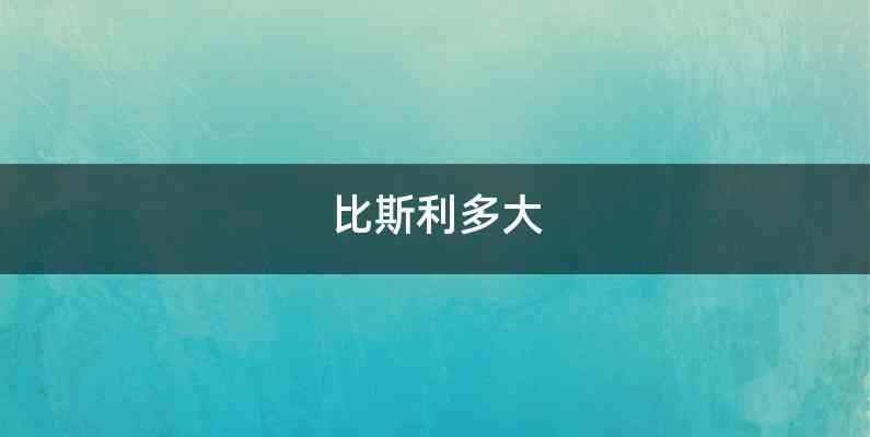 比斯利多大