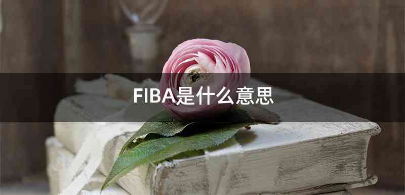 FIBA是什么意思