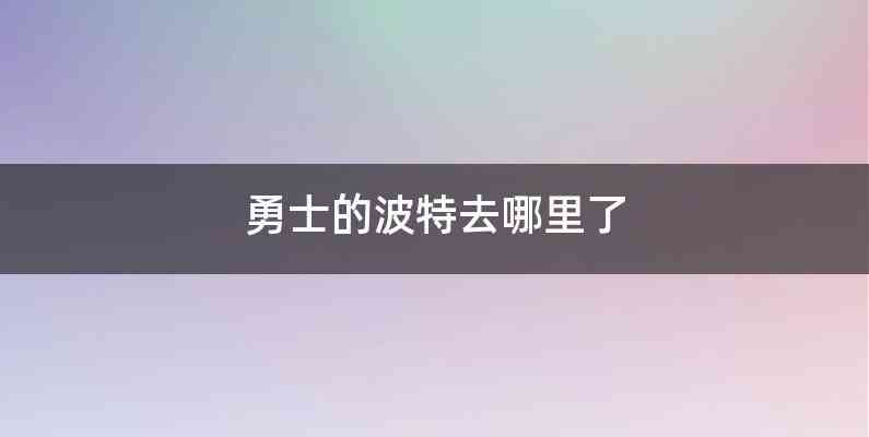 勇士的波特去哪里了