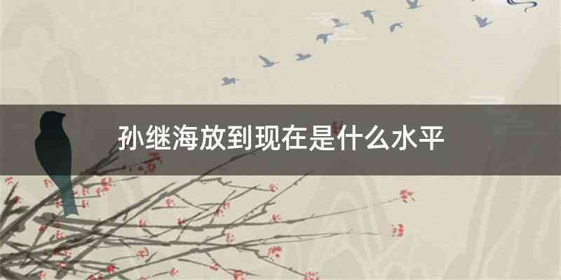 孙继海放到现在是什么水平