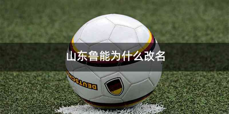 山东鲁能为什么改名