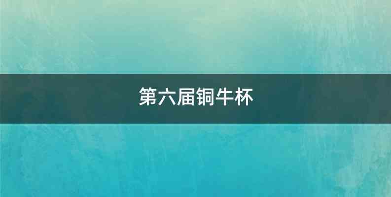 第六届铜牛杯