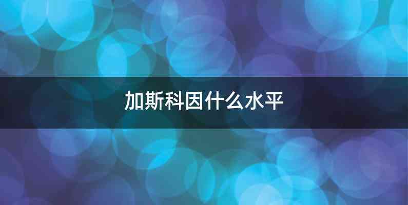 加斯科因什么水平